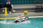 WWPolo vs CC  Wheaton College Women’s Water Polo compete in their sports inaugural match vs Connecticut College. - Photo By: KEITH NORDSTROM : Wheaton, water polo, inaugural